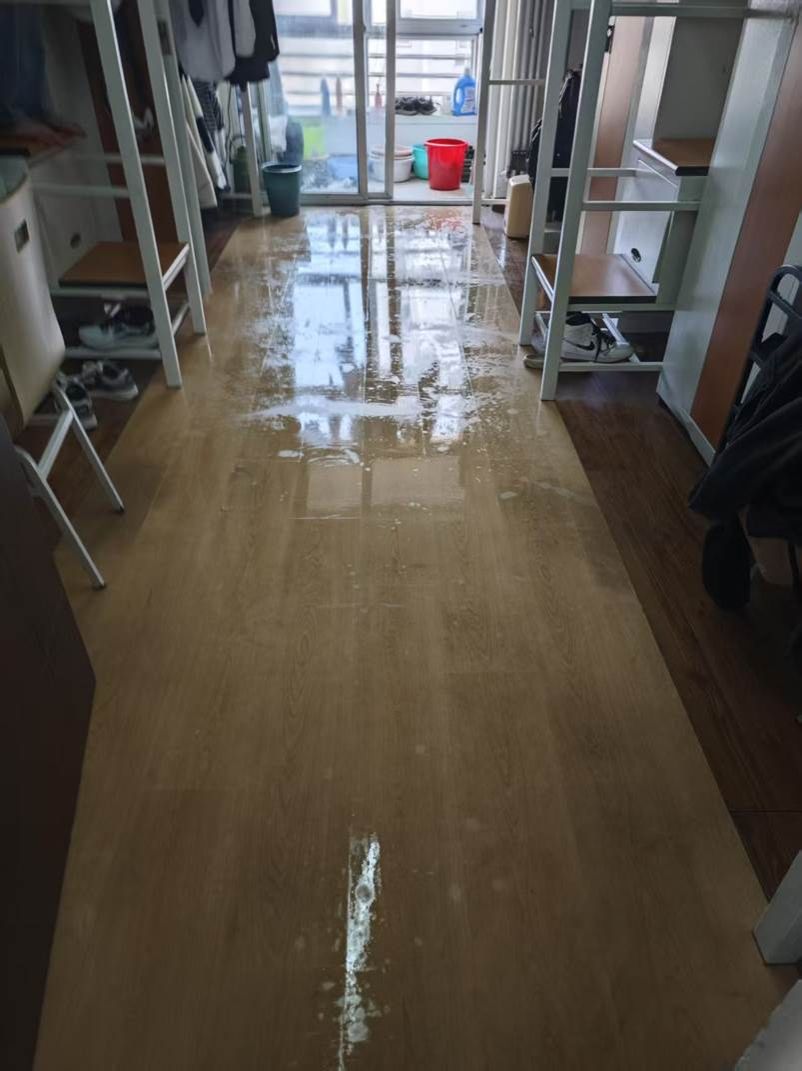 e892795565af729c15bd1b27120ae4e